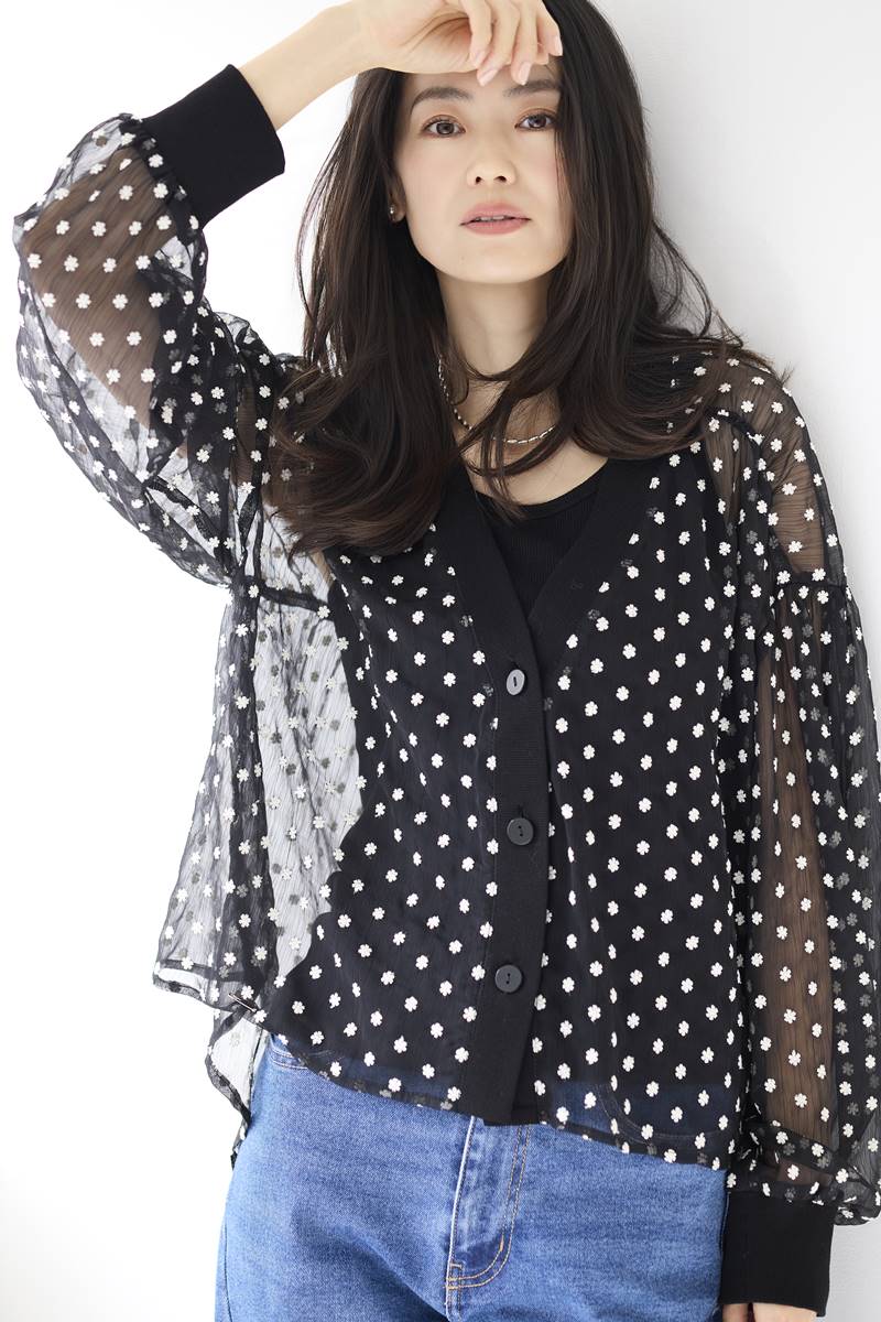 �V�A�[�t�����[�u���E�X�J�[�f